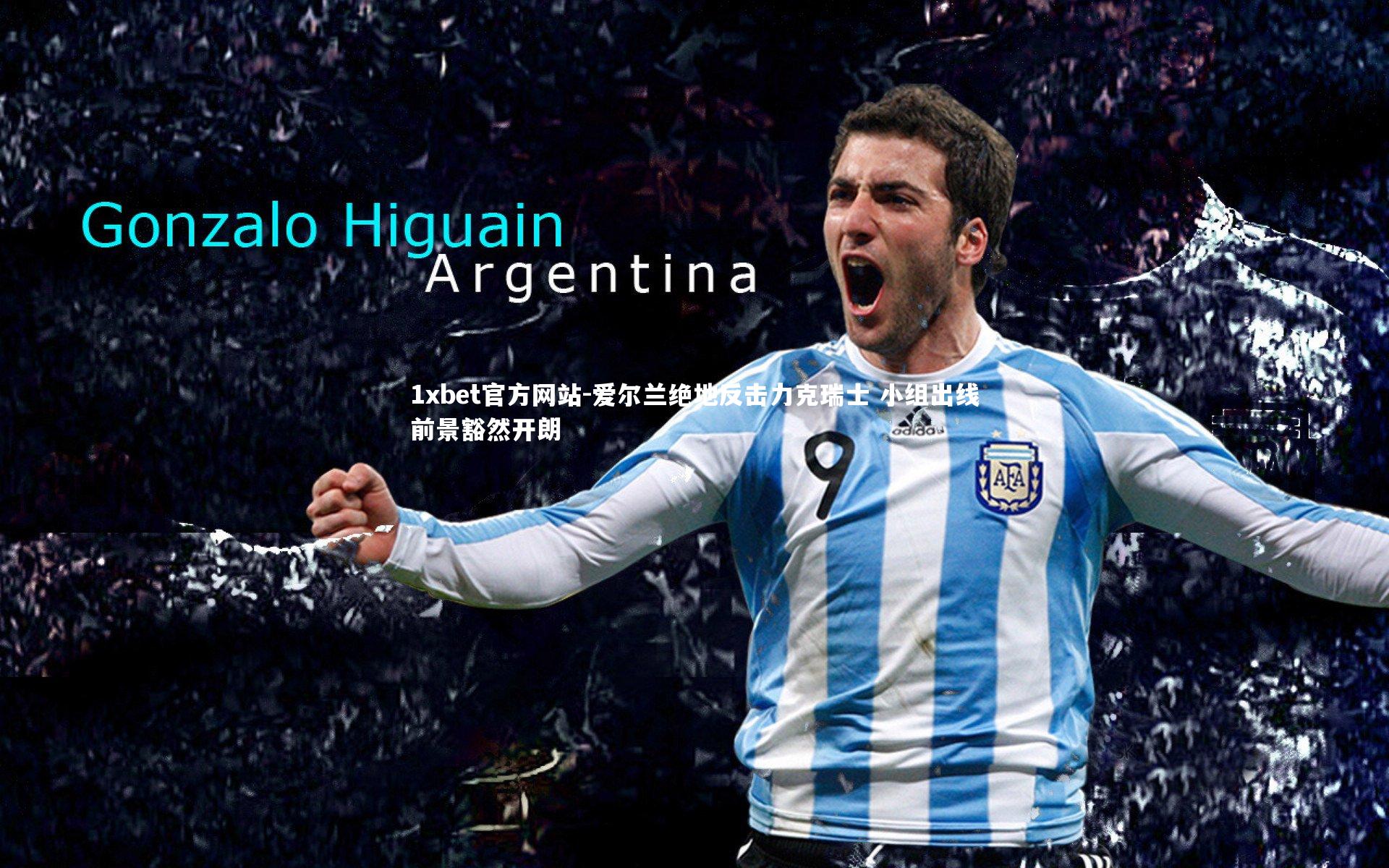 爱尔兰绝地反击力克瑞士 小组出线前景豁然开朗